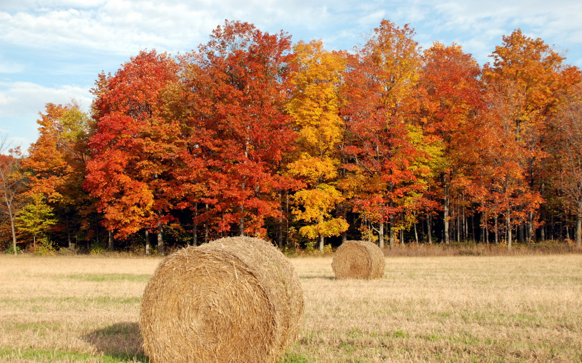 Featured image for “October 18, 2026”